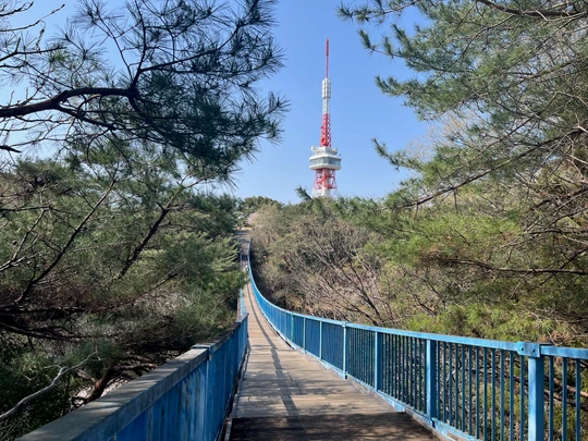 Hachimanyama park