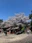 Hachimanyama park