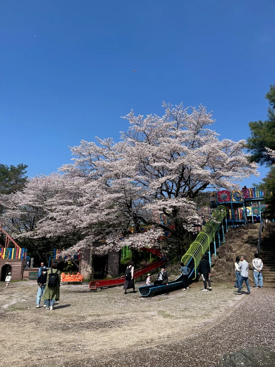 Hachimanyama park