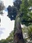 Hachioji Castle Ruins