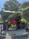Hase-dera