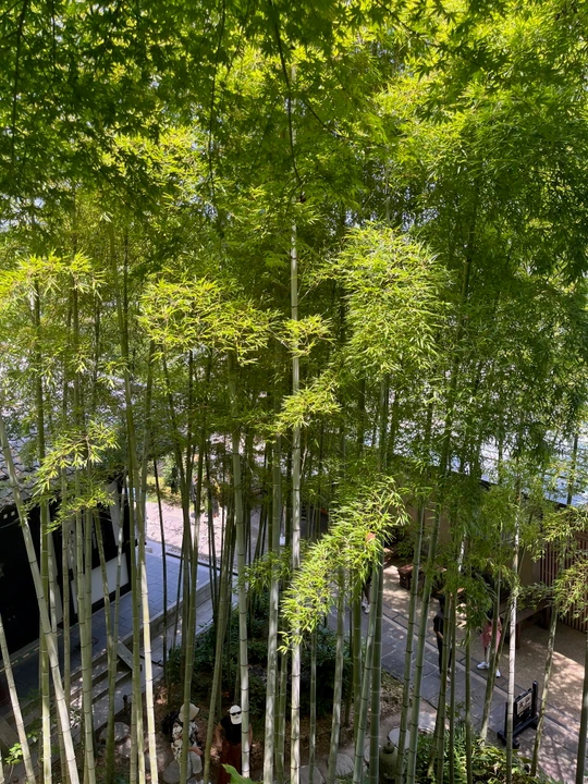 Hase-dera