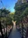 Hashidate Suspension Bridge