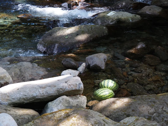 Hatajuku Stream Trout Fishing Spot