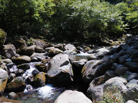 Hatajuku Stream Trout Fishing Spot