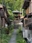 Higashiyama Promenade