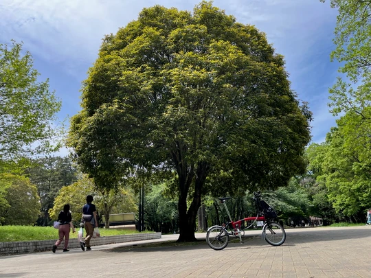 Hikarigaoka Park