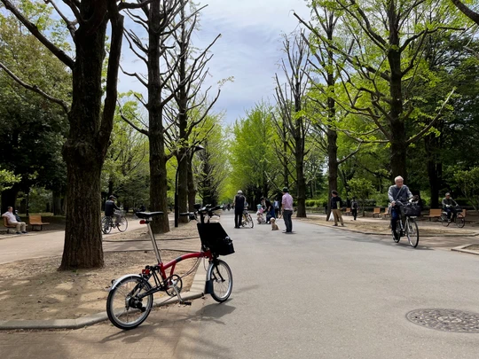 Hikarigaoka Park