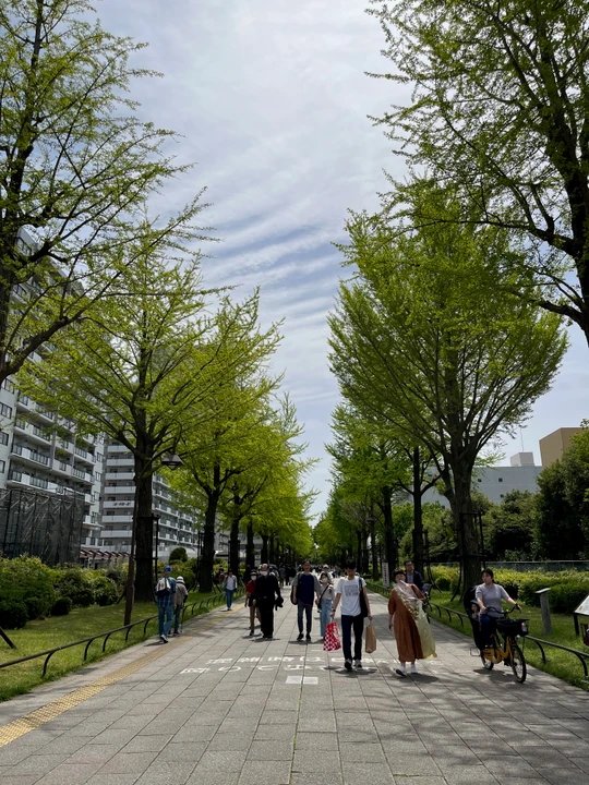 Hikarigaoka Park