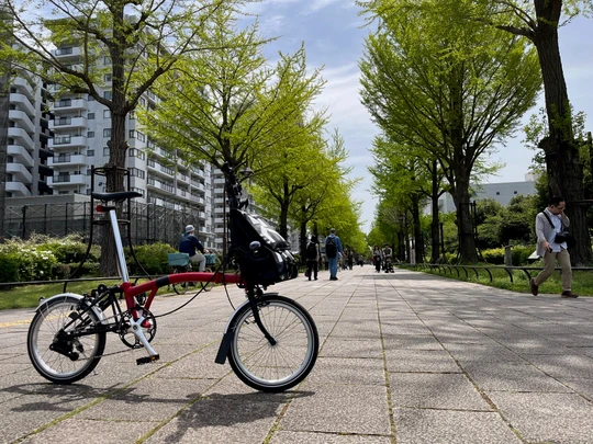 Hikarigaoka Park