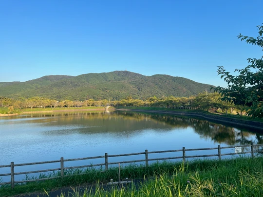 Hojo Oike Pond