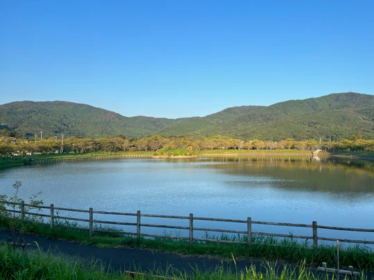 Hojo Oike Pond