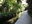 Igawa Lane