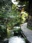 Igawa Lane