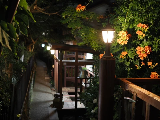 Igawa Lane