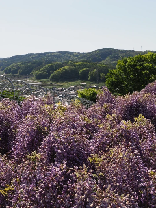 Inariyama Park