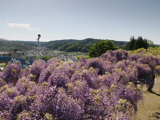 Inariyama Park