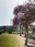 Inariyama Park