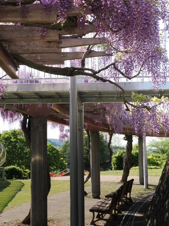 Inariyama Park