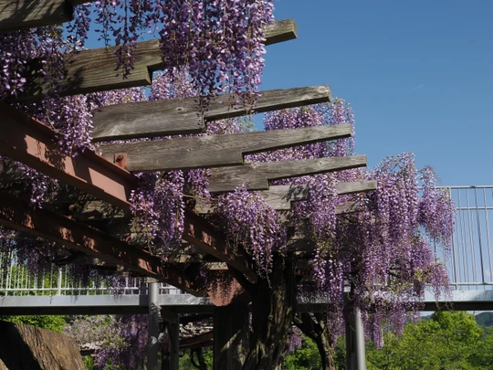 Inariyama Park