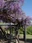 Inariyama Park
