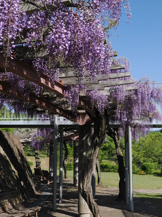 Inariyama Park