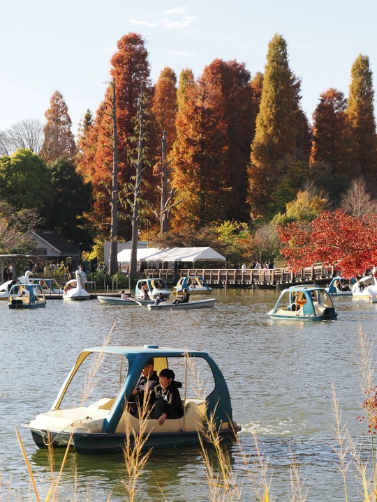 Inokashira Park