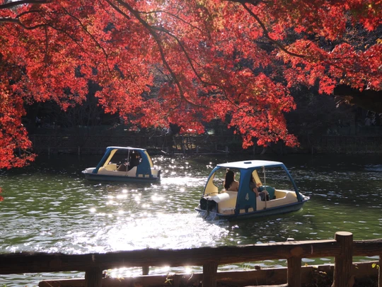 Inokashira Park