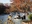 Inokashira Park