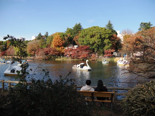 Inokashira Park