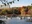 Inokashira Park