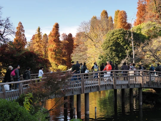 Inokashira Park