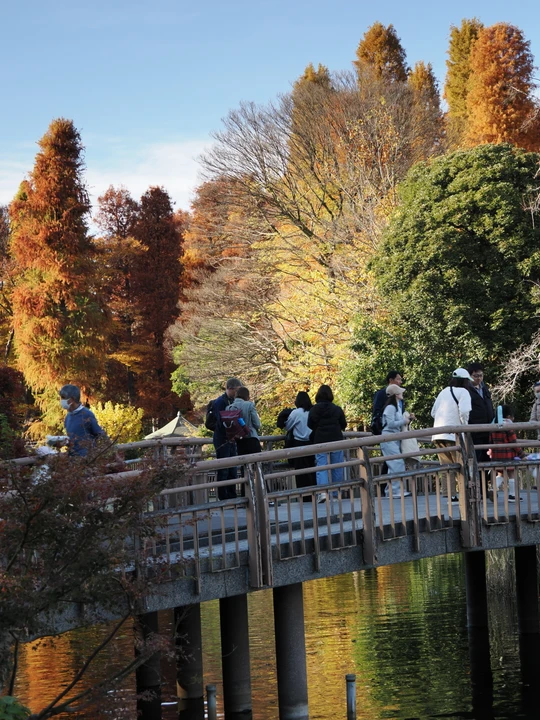 Inokashira Park