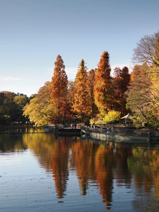 Inokashira Park