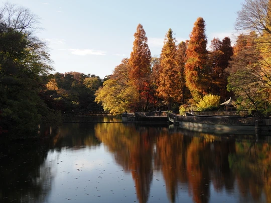 Inokashira Park