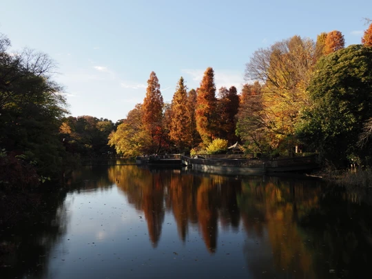 Inokashira Park