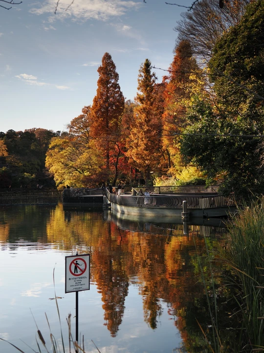 Inokashira Park