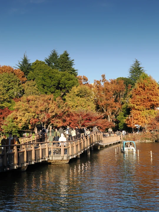 Inokashira Park