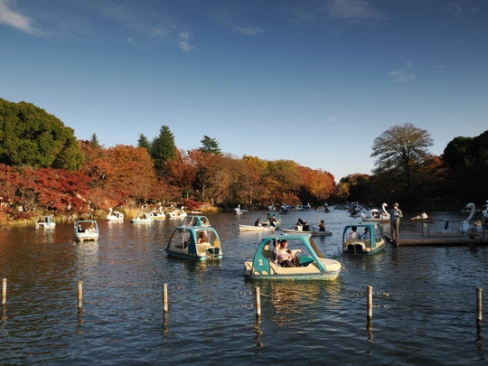 Inokashira Park