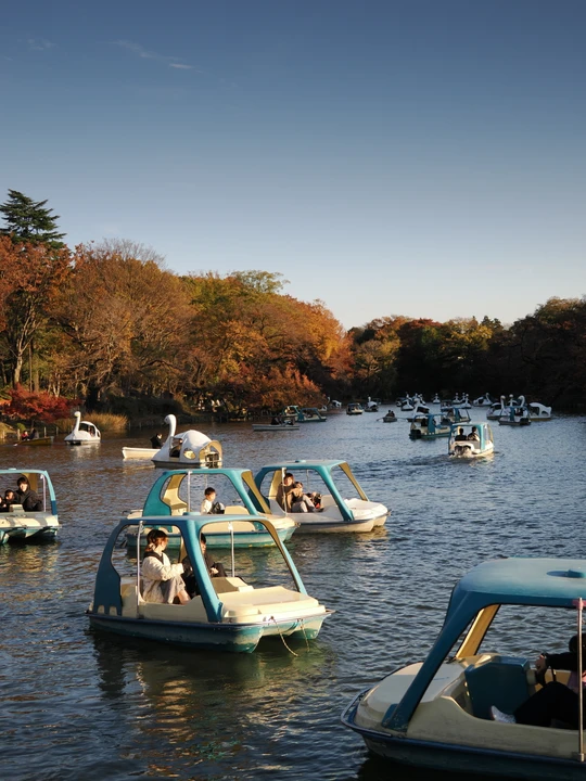 Inokashira Park