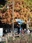 Inokashira Park