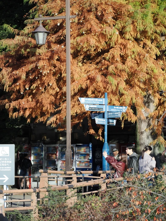Inokashira Park