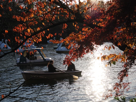 Inokashira Park