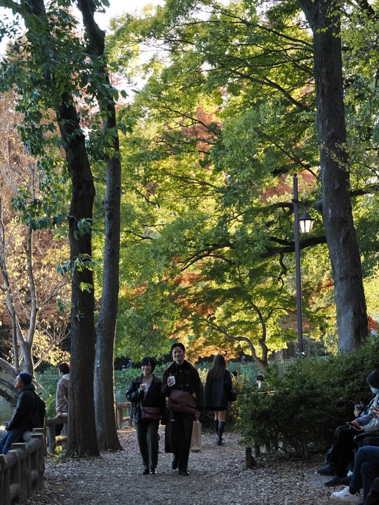 Inokashira Park