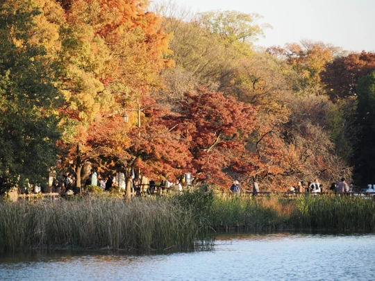 Inokashira Park
