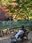 Inokashira Park