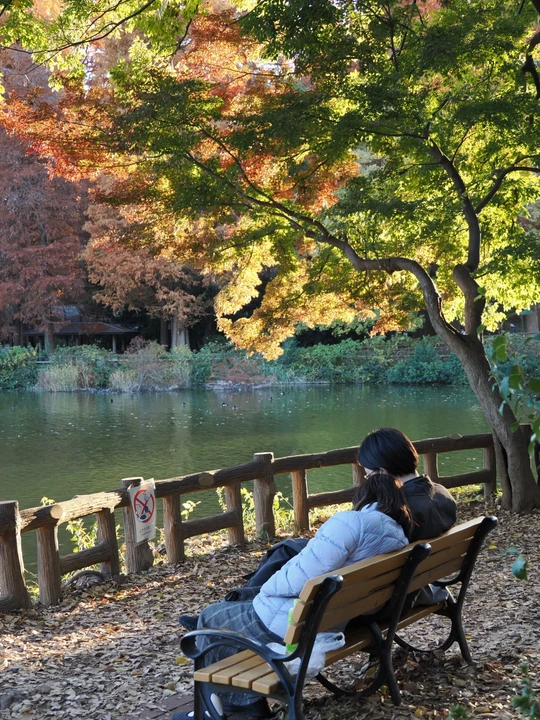 Inokashira Park