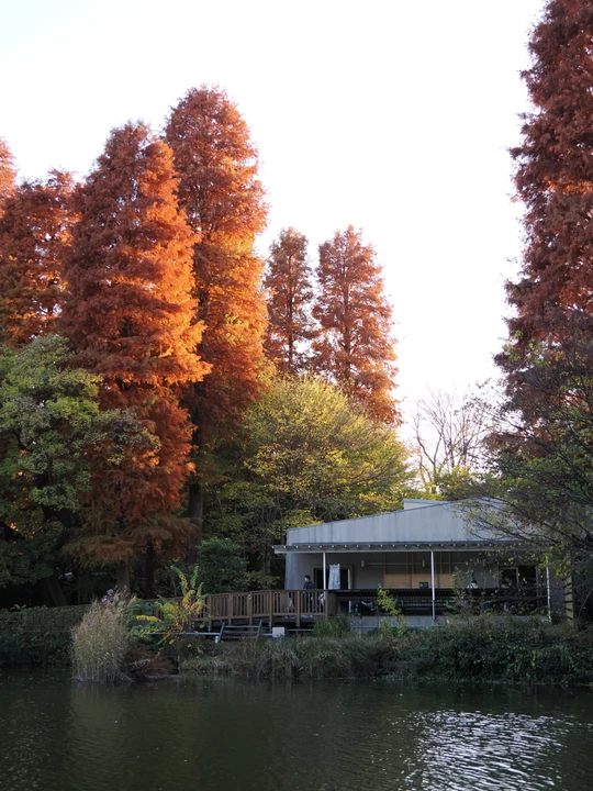 Inokashira Park