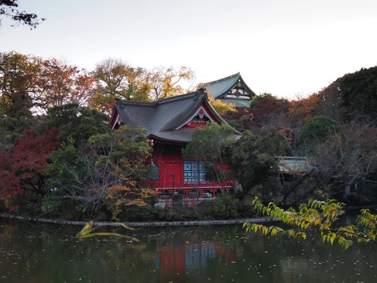 Inokashira Park