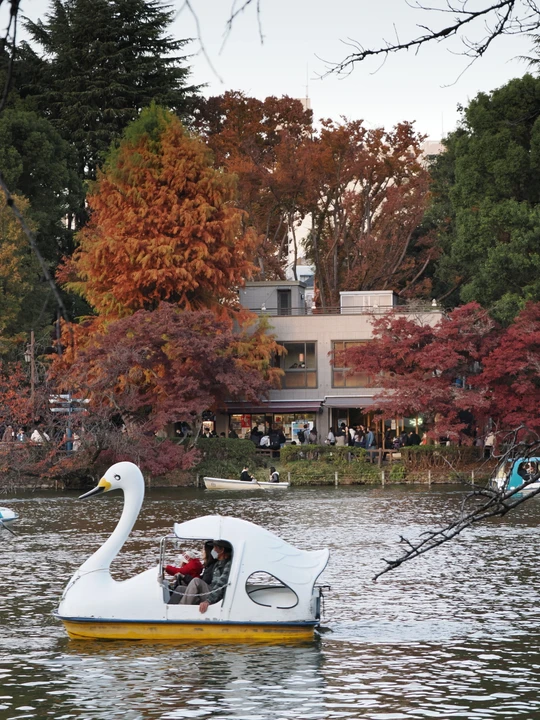 Inokashira Park